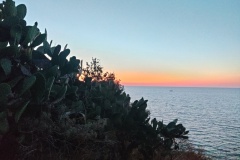IMG_20260713_205948