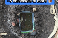 IMG_20260714_192909