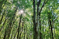 IMG_20260824_103921